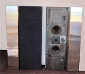 BANG&OLUFSEN B&O BeoVox 5000